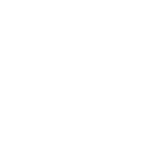 DmaisP